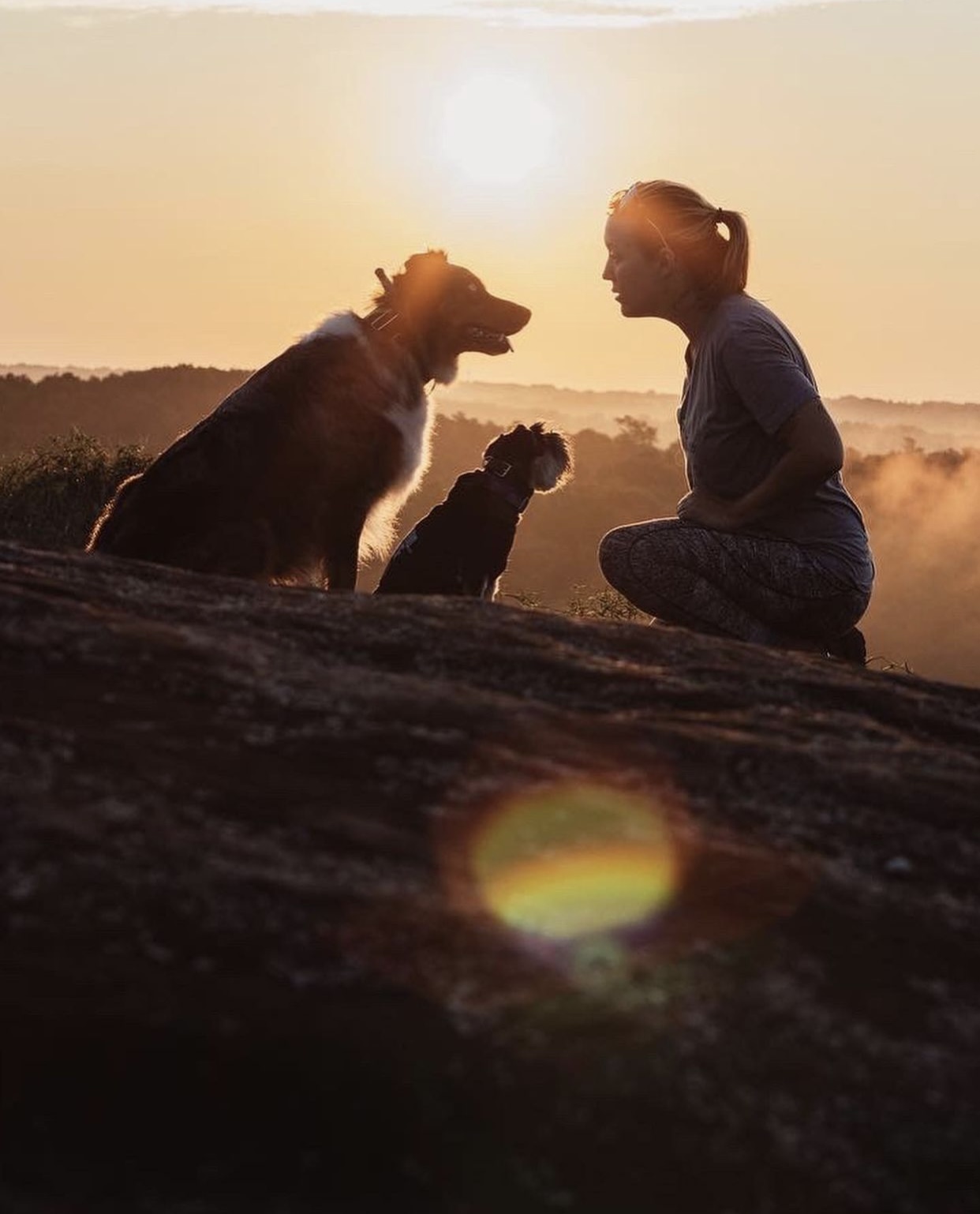 The Professional Dog Trainers at FullFocusK9