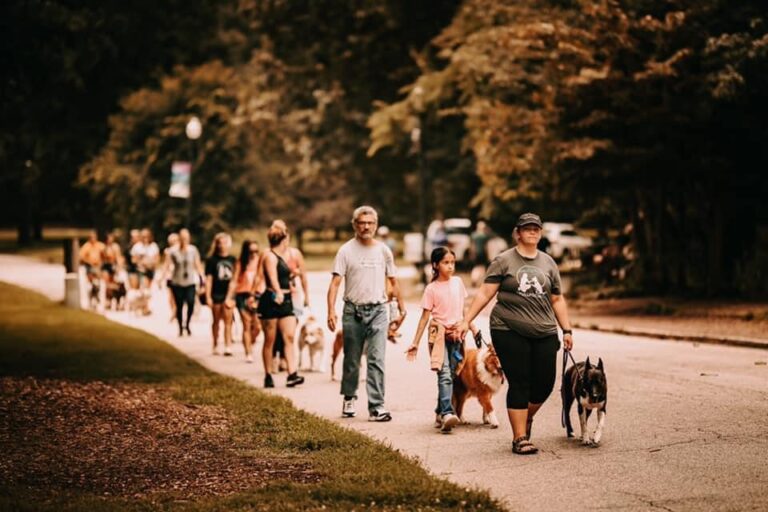dog training lessons in a group setting